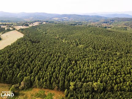 Hunting Land for sale in Rutherford County, North Carolina