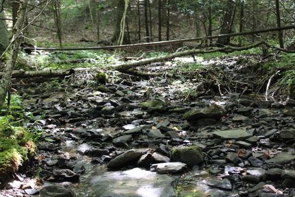 Ranch Property for sale in Upshur County, West Virginia