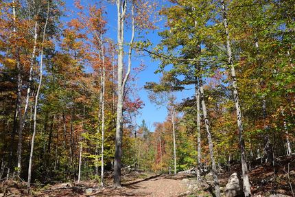 Farm Property for sale in Warren County, New York