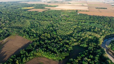 Timberland Property for sale in Richland County, Illinois