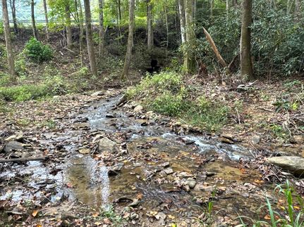 Property for sale in McDowell County, North Carolina