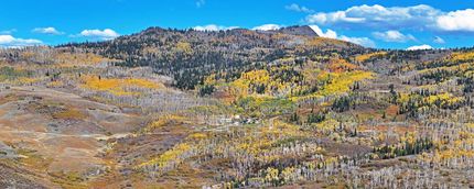 Farm Property for sale in Routt County, Colorado