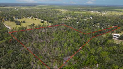 Undeveloped Land for sale in Taylor County, Florida