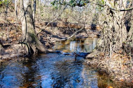 Farm Property for sale in Holmes County, Florida