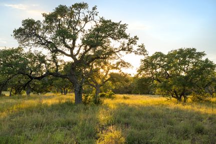 Ranch Property for sale in Blanco County, Texas