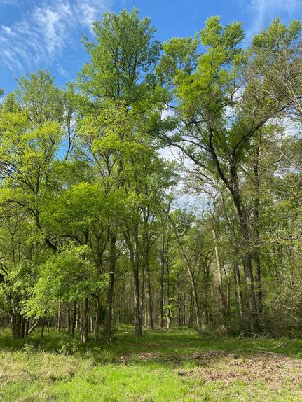 Recreational Property for sale in Freestone County, Texas