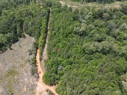 Farm Property in Monroe County, Alabama