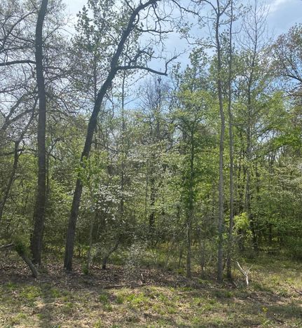 Recreational Property for sale in Freestone County, Texas