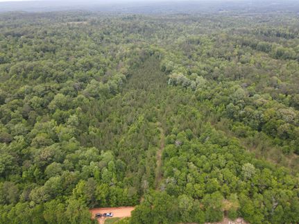 Hunting Land for sale in Monroe County, Alabama