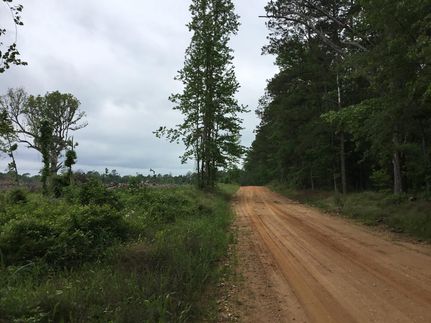Ranch Property for sale in Nevada County, Arkansas