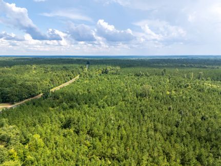 Hunting Land for sale in Ouachita County, Arkansas