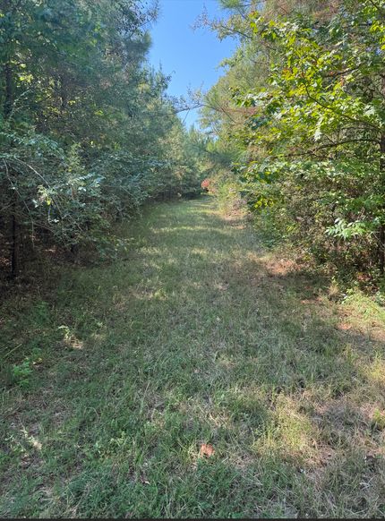 Timberland Property for sale in Hale County, Alabama