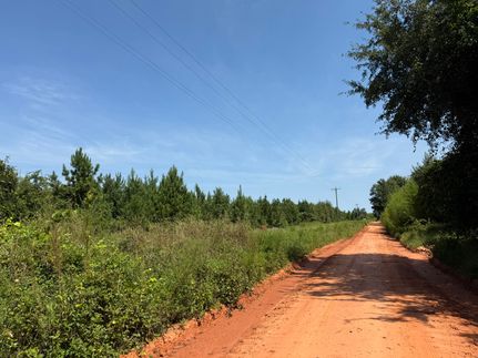 Property for sale in Webster County, Georgia