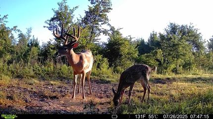 Ranch Property in Dodge County, Georgia