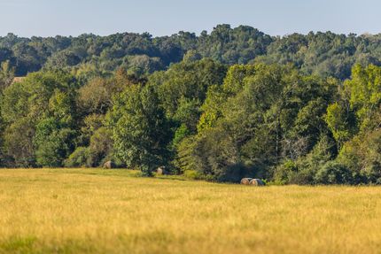 Farm Property for sale in Shelby County, Texas