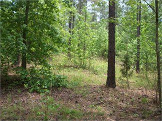 Property in Greenwood County, South Carolina