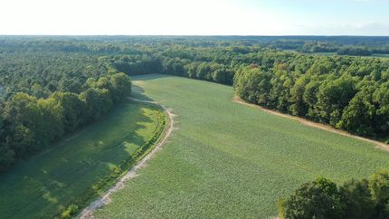 Property for sale in Halifax County, North Carolina