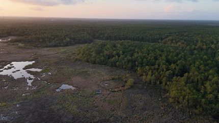 Timberland Property for sale in Hancock County, Mississippi