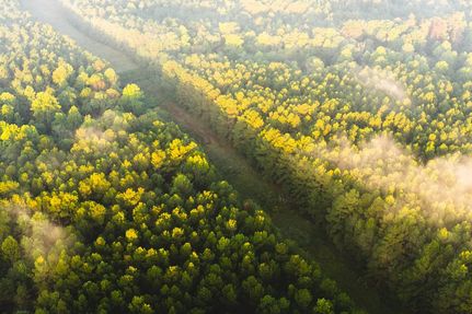 Farm Property for sale in Jefferson Davis County, Mississippi