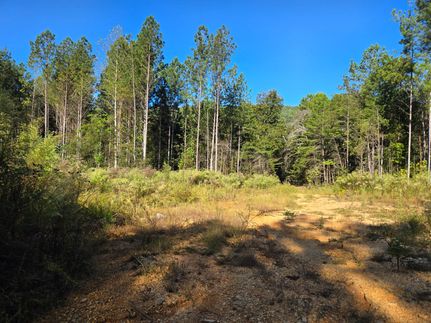 Property for sale in DeKalb County, Alabama