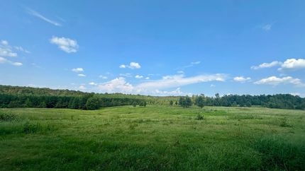 Horse Property for sale in Cleburne County, Arkansas