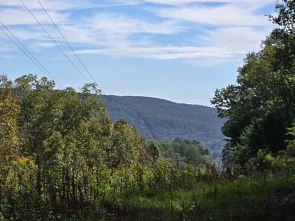 Property for sale in DeKalb County, Alabama