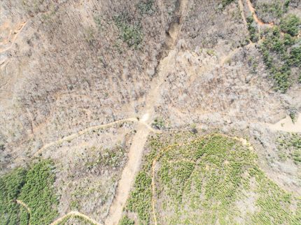 Horse Property for sale in Polk County, North Carolina