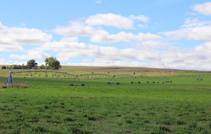 Undeveloped Land for sale in Goshen County, Wyoming