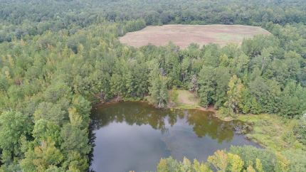 Farm Property for sale in Butler County, Alabama