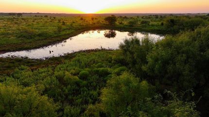 Ranch Property for sale in Young County, Texas