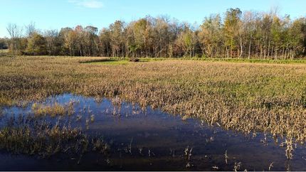 Property for sale in Benton County, Tennessee