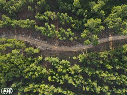 Property for sale in Perry County, Mississippi