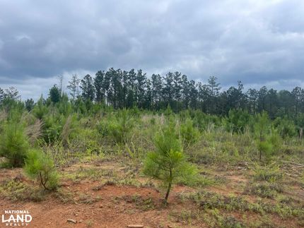 Timberland Property for sale in Pickens County, Alabama