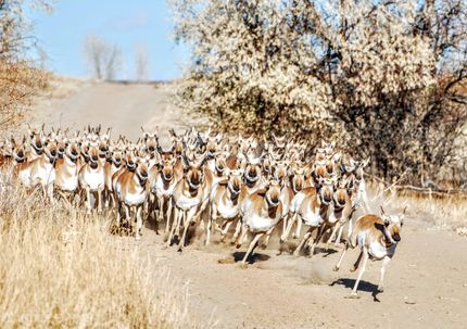 Property for sale in Big Horn County, Wyoming