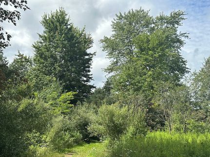 Farm Property for sale in Sanilac County, Michigan