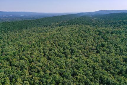 Property for sale in Yell County, Arkansas