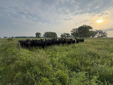 Ranch Property for sale in Holt County, Nebraska