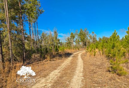 Property for sale in Screven County, Georgia