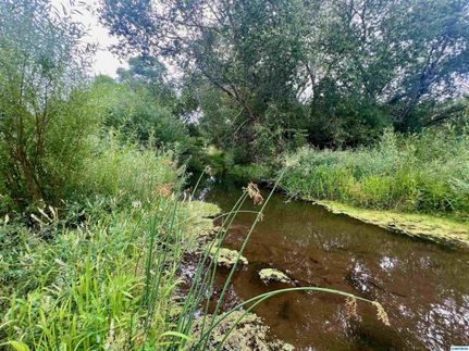 Property for sale in Grant County, New Mexico