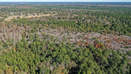 Timberland Property for sale in Jackson County, Mississippi