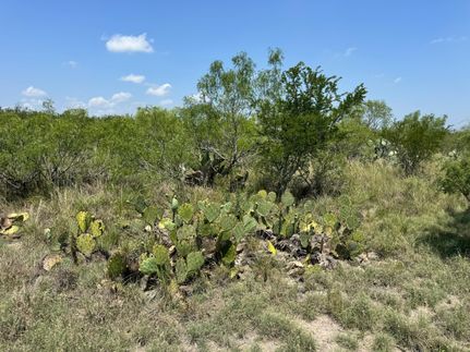 Farm Property for sale in La Salle County, Texas