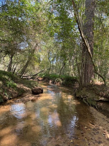 Property for sale in Oconee County, Georgia