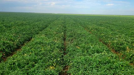 Property for sale in Fresno County, California