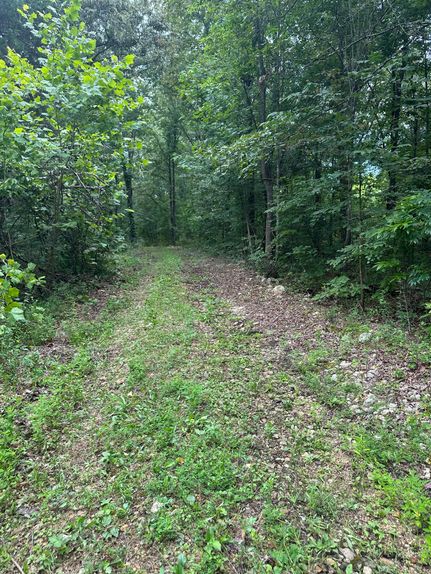 Property for sale in Hickman County, Tennessee