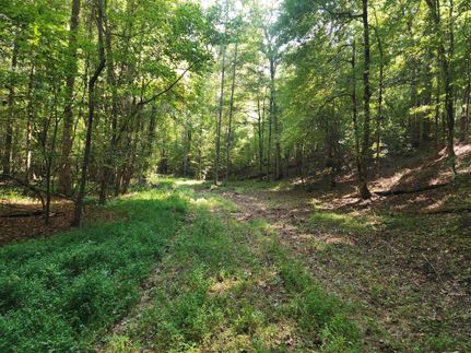 Hunting Land for sale in Jones County, Georgia