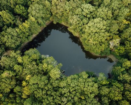 Farm Property for sale in Holmes County, Mississippi