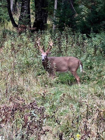 Farm Property for sale in Leelanau County, Michigan