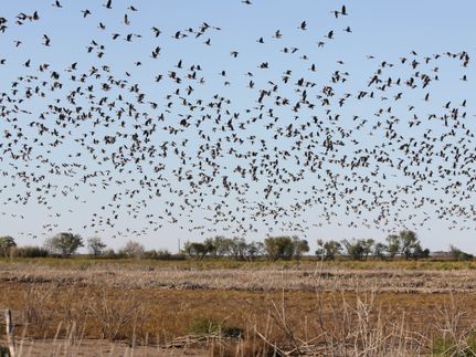 Farm Property for sale in Haskell County, Texas