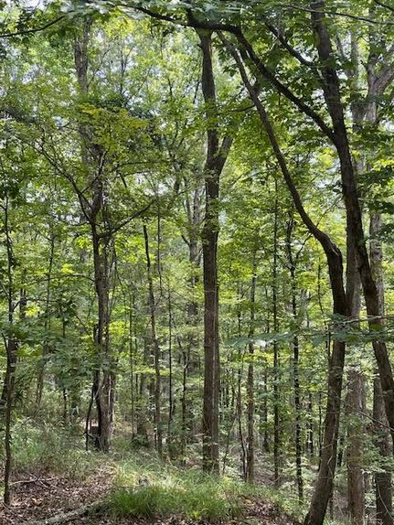 Property for sale in Claiborne County, Mississippi