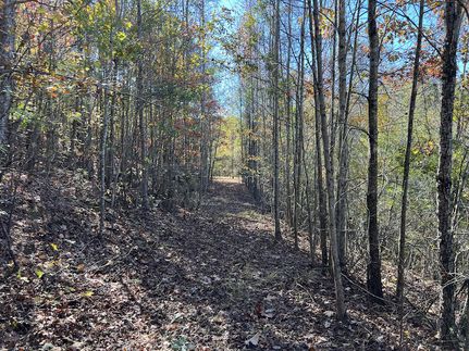 Timberland Property for sale in Coosa County, Alabama